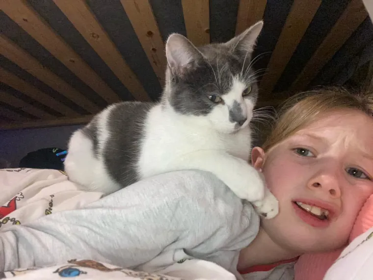 Nestala maca pronađena 640 kilometara od kuće! Otkriveno je kako je to genijalka uspjela izvesti