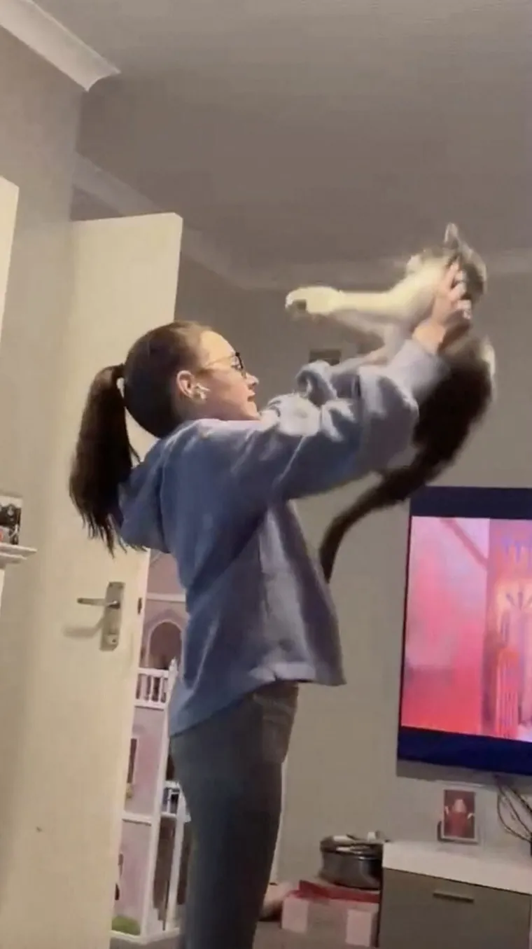 Nestala maca pronađena 640 kilometara od kuće! Otkriveno je kako je to genijalka uspjela izvesti