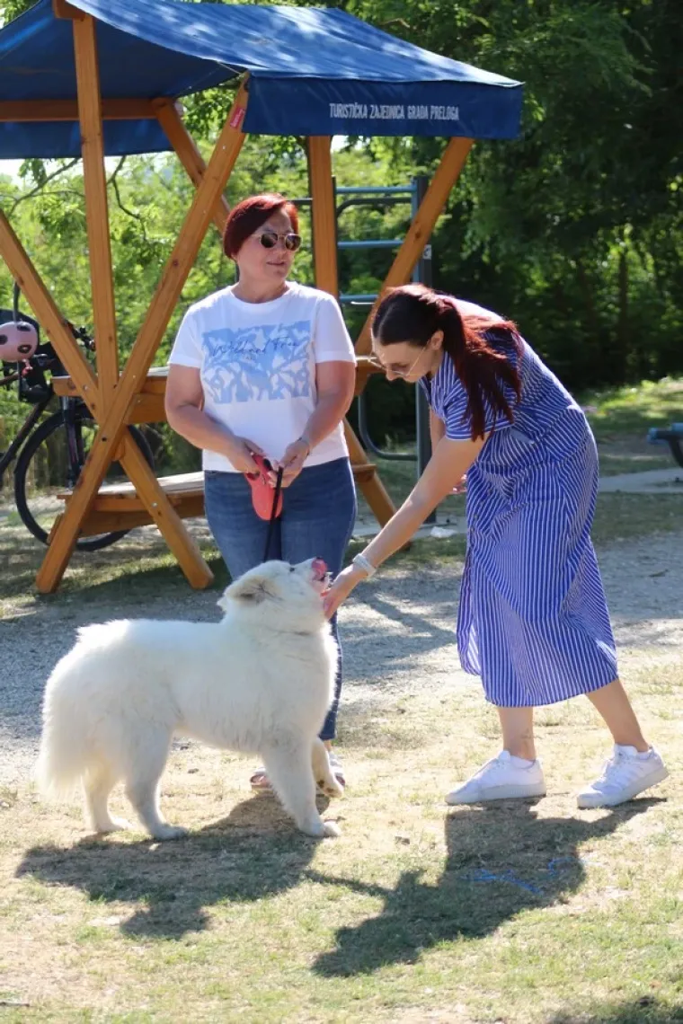 'Powercouple' iz Međimurja privlačio poglede: Izgledali kao Gospodin i Gospođa Smith