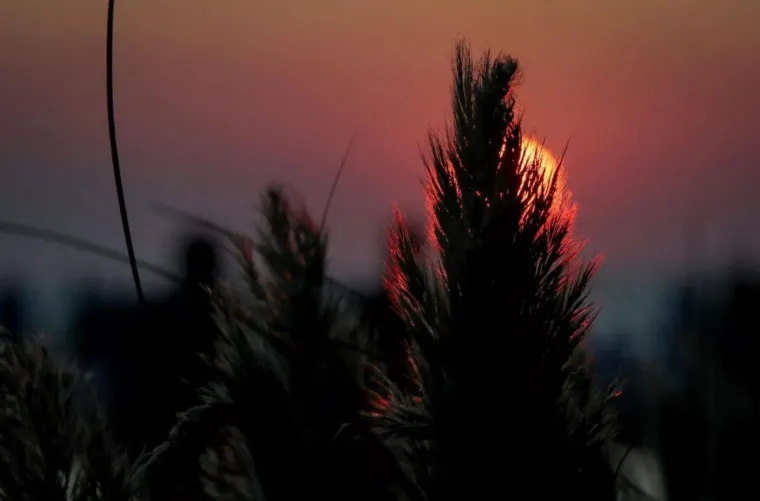 Zgodna brineta nosila je ono &scaron;to je 2024. bio hit, a sve zbog Baby Lasagne