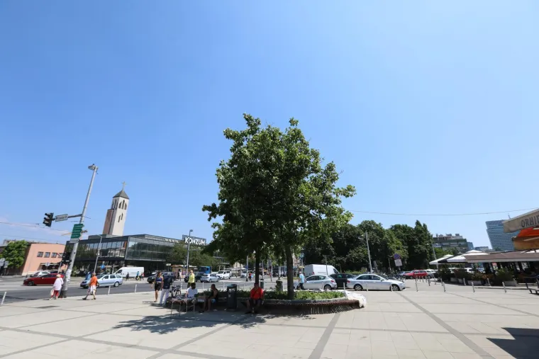 Vrućina im ne smeta: Dubrovčani se kupaju, a Zagrepčani 'kuhaju' na asfaltu