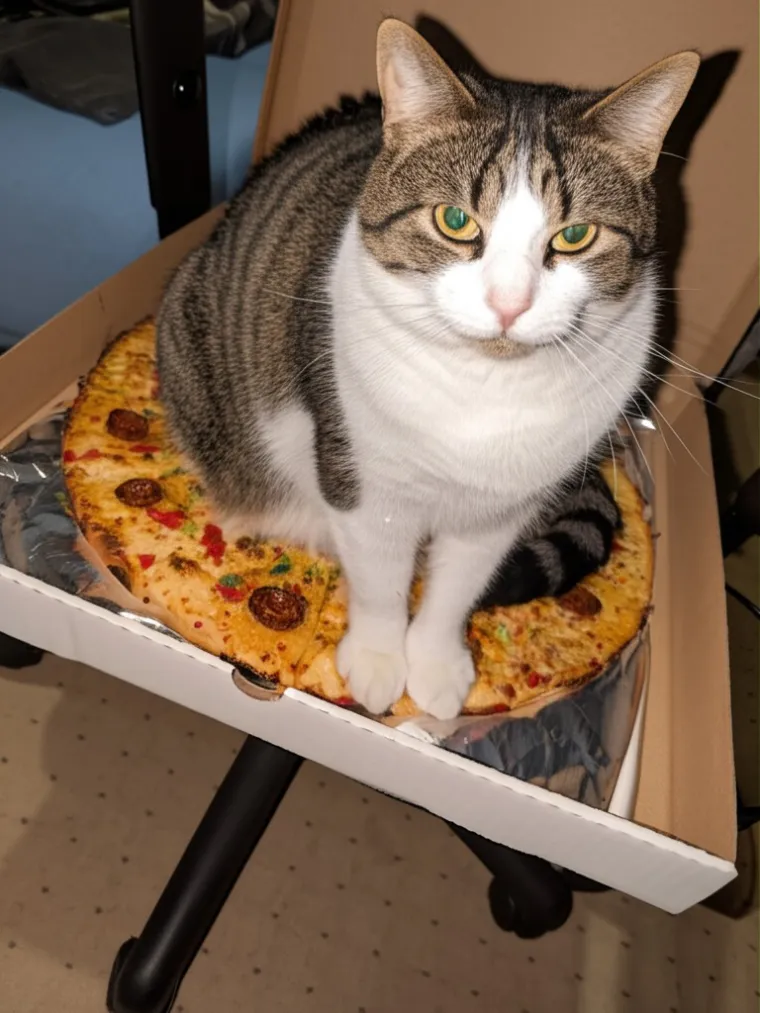 Ovo su najgori zločini nad pizzama zabilježeni kamerom! Časni sude, na tebe je red da izrekneš kazne