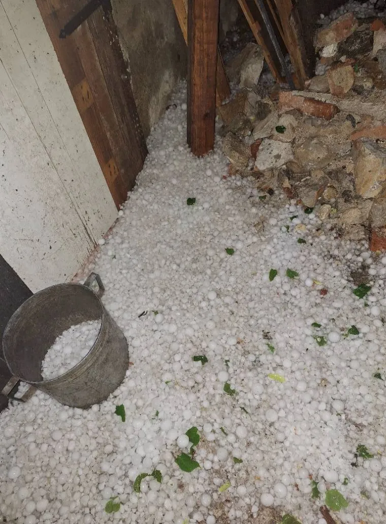 Tuča im probila vozila i krovove, vjetar čupao stabla: 'Imali smo i sreće...'