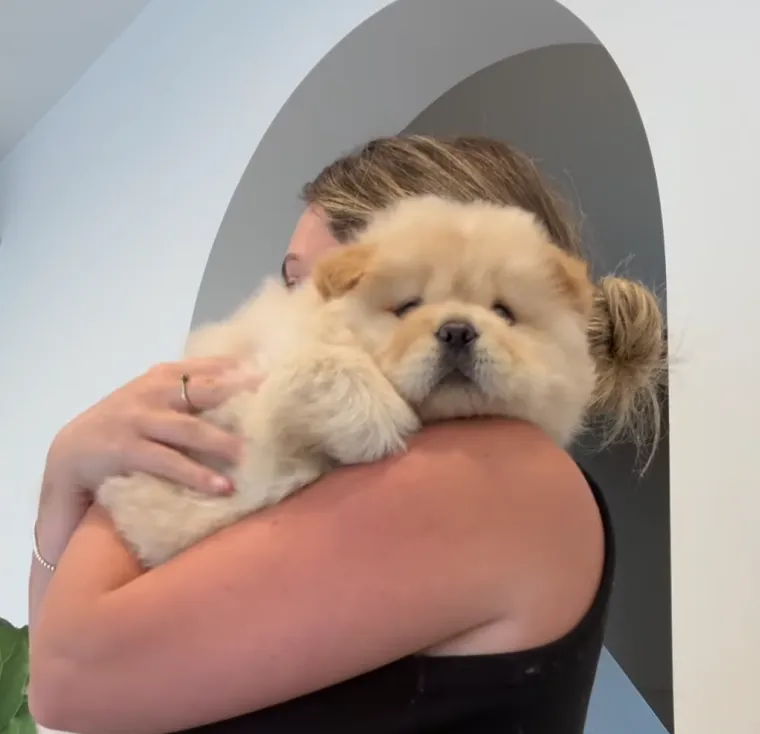 Preslatka i pufasta poput polarnog medvjedića: Bori se s velikim izazovom, ali rastapa brojna srca