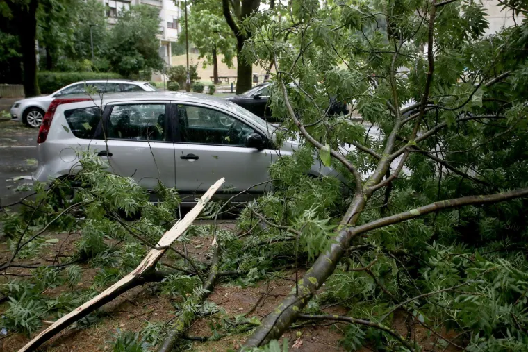 Stabla poklopila automobile, vatrogasci intervenirali i u školi: Pogledajte posljedice udara oluje