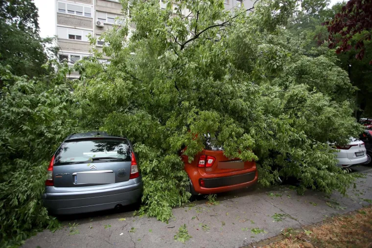 Stabla poklopila automobile, vatrogasci intervenirali i u školi: Pogledajte posljedice udara oluje