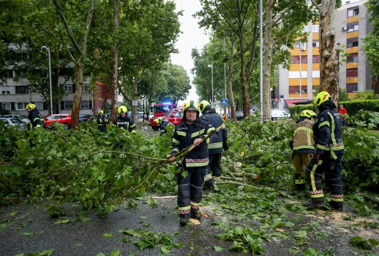 Stabla poklopila automobile, vatrogasci intervenirali i u školi: Pogledajte posljedice udara oluje