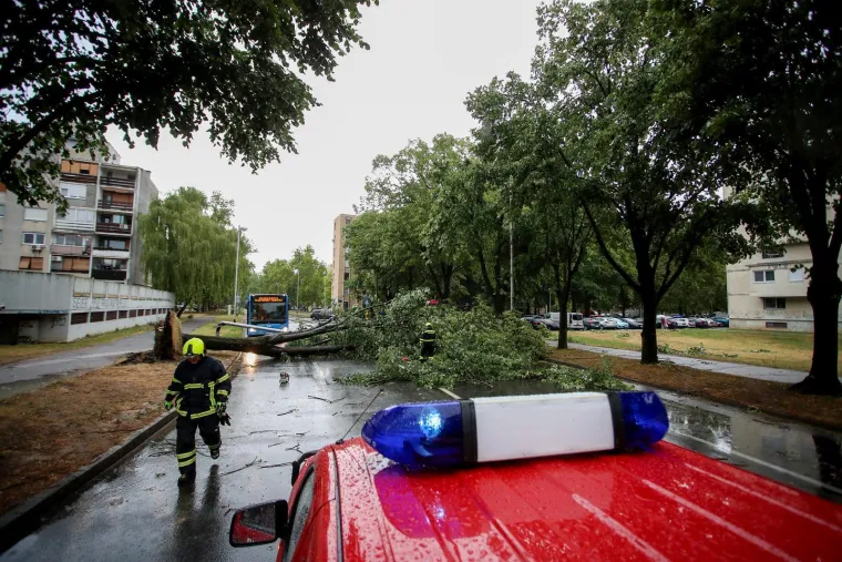 Stabla poklopila automobile, vatrogasci intervenirali i u školi: Pogledajte posljedice udara oluje