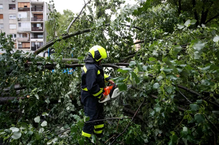 Stabla poklopila automobile, vatrogasci intervenirali i u školi: Pogledajte posljedice udara oluje