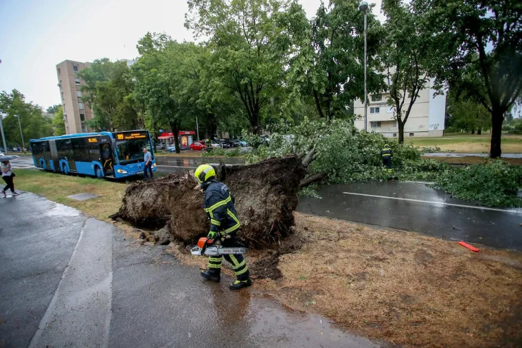 Stabla poklopila automobile, vatrogasci intervenirali i u školi: Pogledajte posljedice udara oluje