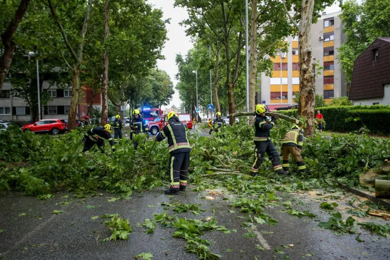 Stabla poklopila automobile, vatrogasci intervenirali i u školi: Pogledajte posljedice udara oluje
