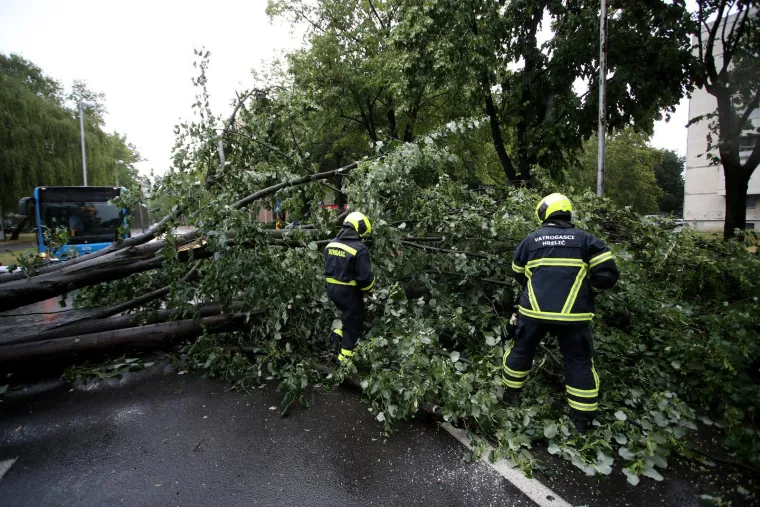 Stabla poklopila automobile, vatrogasci intervenirali i u školi: Pogledajte posljedice udara oluje