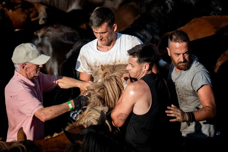 Festival kakav još niste vidjeli: Goloruki hrabri mladići hvataju se u koštac s divljim životinjama