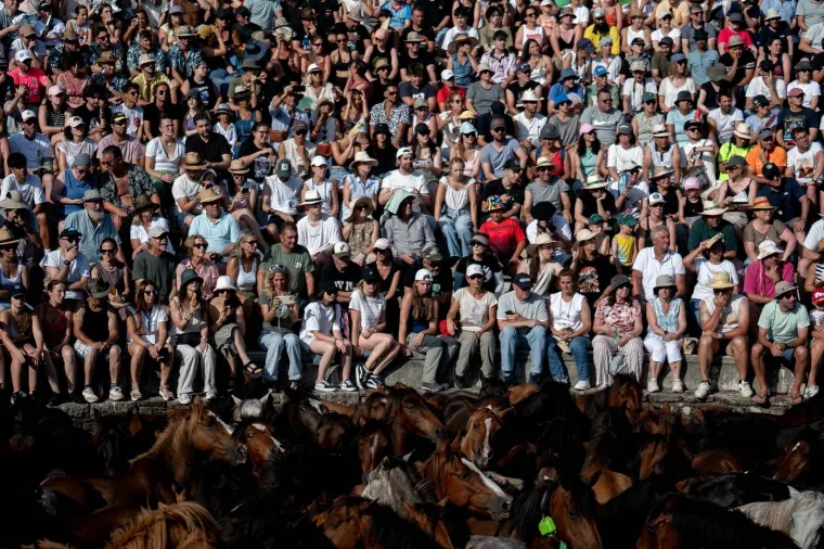Festival kakav još niste vidjeli: Goloruki hrabri mladići hvataju se u koštac s divljim životinjama