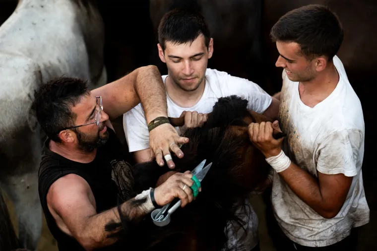 Festival kakav još niste vidjeli: Goloruki hrabri mladići hvataju se u koštac s divljim životinjama