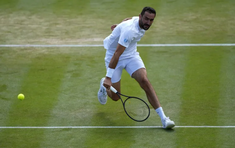 Nevjerojatno što su na Wimbledonu napravili Marinu: Čilić ovo nije zaslužio!
