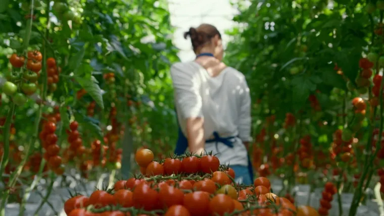 Bacate li hranu? Uz ovih 30 savjeta sve ćete iskoristiti i uštedjeti novac