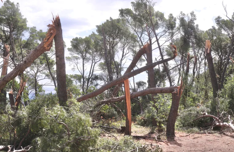 Šokantni prizori s Marjana: Kao da je protutnjao tornado, a sada se pojavila nova prijetnja