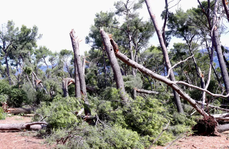 Šokantni prizori s Marjana: Kao da je protutnjao tornado, a sada se pojavila nova prijetnja