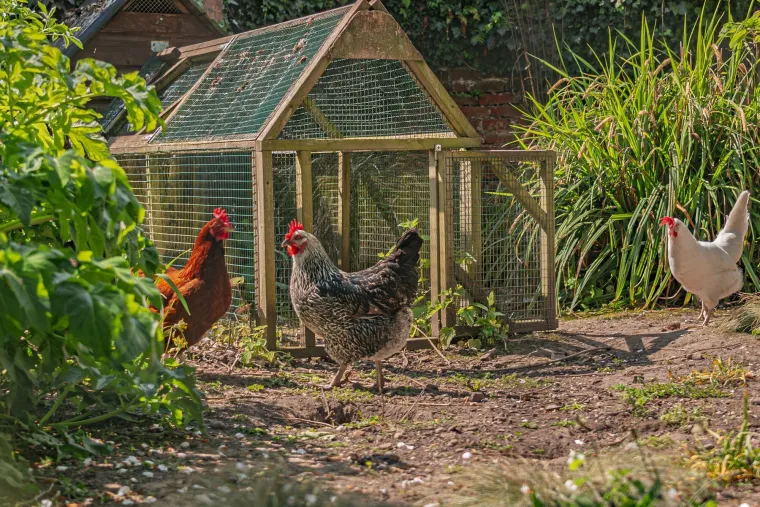 Izvana izgleda kao staklenik, a iznutra je dom iz snova: Nećete vjerovati koliko vrijedi