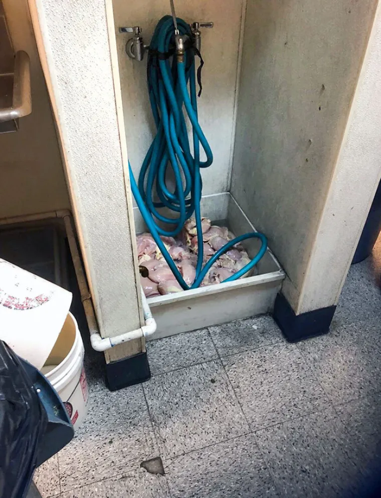 Kamerama su zabilježili najgora iskustva u restoranima, neki od prizora doista su užasavajući