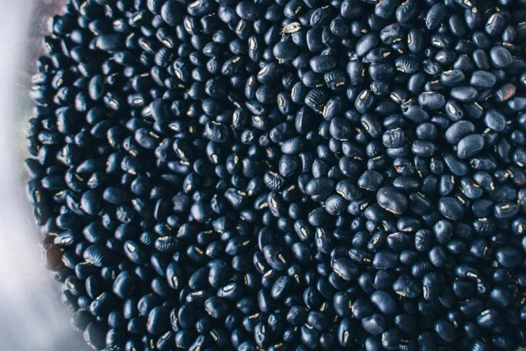 Ovih 30 namirnica su nutritivni heroji: Uvrstite ih u prehranu i imat ćete više energije