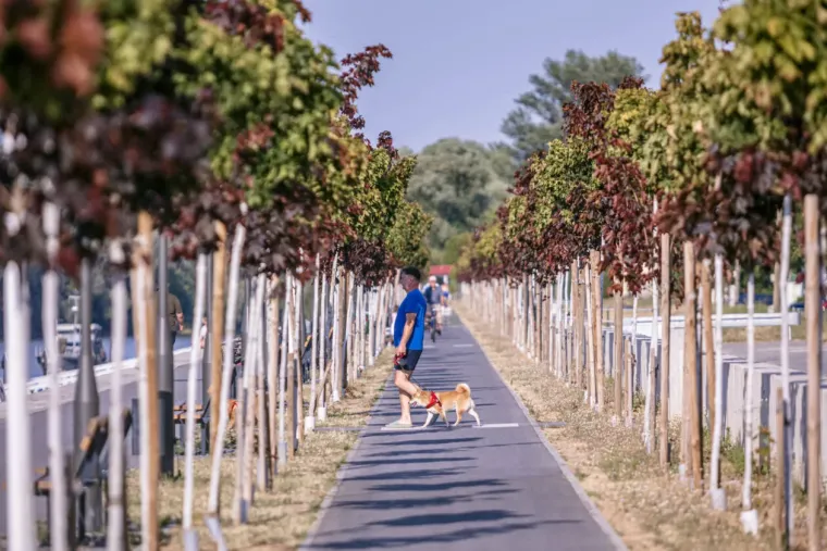 Vitke noge u prvom planu: Osječanka u ljetnoj cvjetnoj haljini mamila poglede na svakom koraku