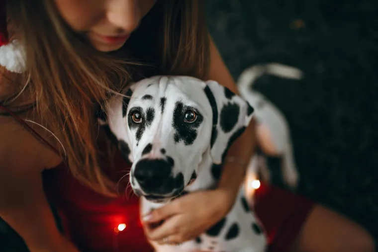 Ovo je top 25 najslađih vrsta pasa na svijetu: Možete li odabrati samo jednu?