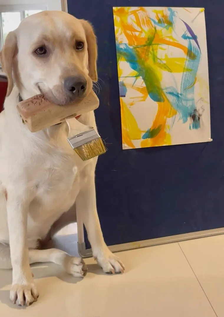 Ova preslatka labradorica slika kao prava umjetnica: Njezini radovi ostavit će vas bez riječi