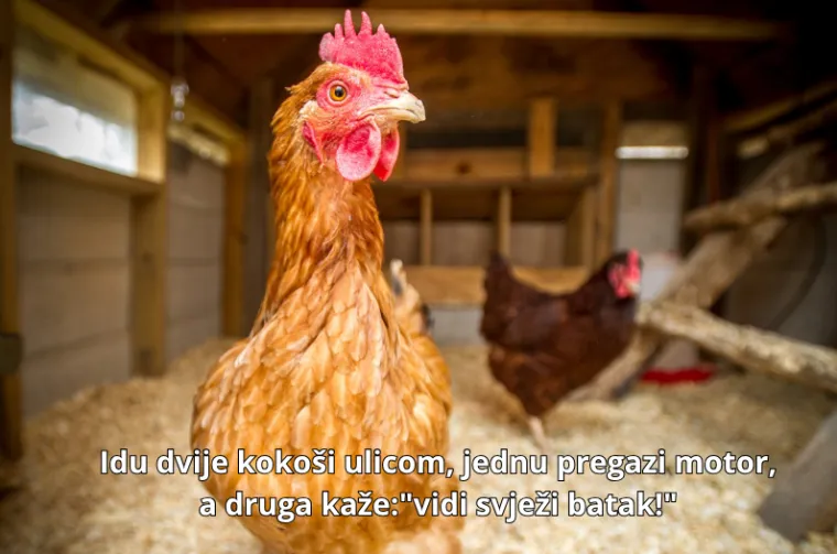 Sjećate li se vremena prije interneta? Ovi stari vicevi će vas vratiti u prošlost i nasmijati do suza