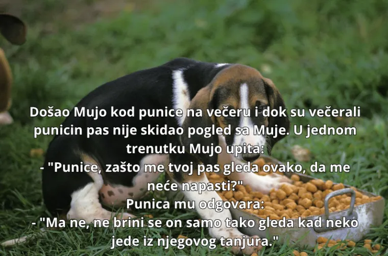 Ovo su neki od najurnebesnijih viceva svih vremena: Bacite oko na njih i nasmijte se do suza