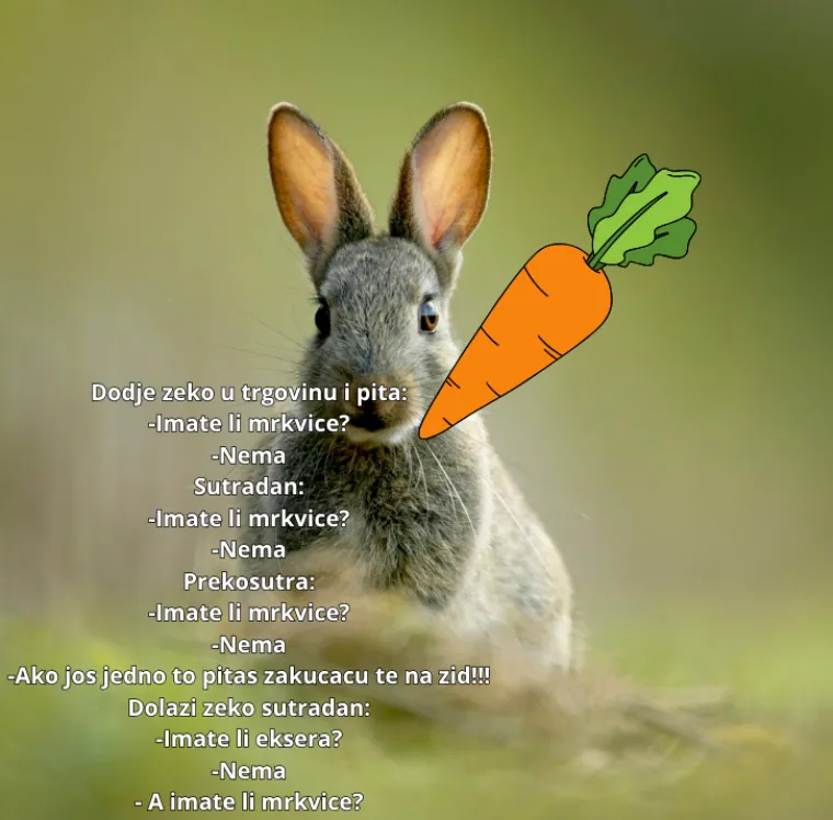 Ovo su neki od najurnebesnijih viceva svih vremena: Bacite oko na njih i nasmijte se do suza