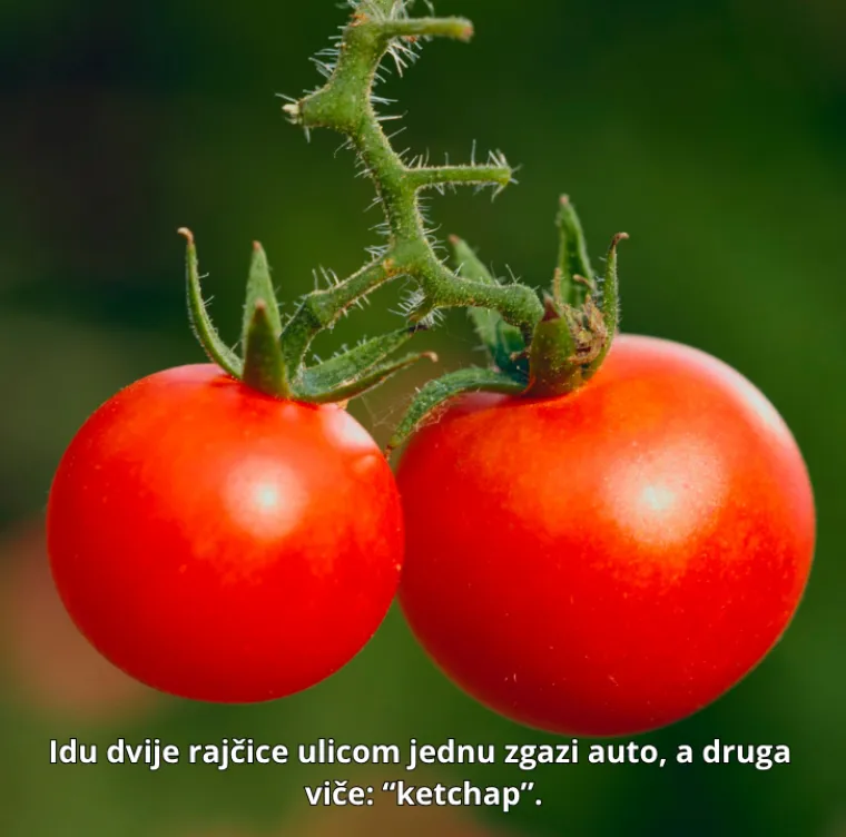 Ovo su neki od najurnebesnijih viceva svih vremena: Bacite oko na njih i nasmijte se do suza