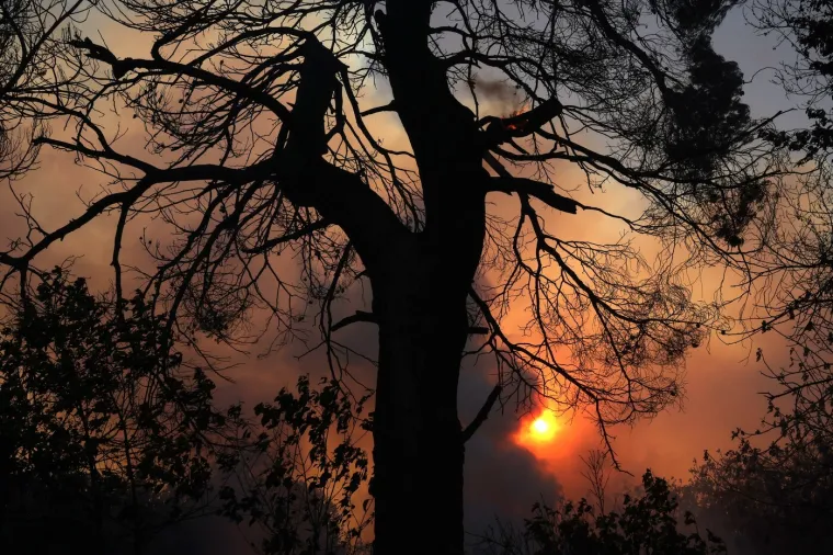 Apokalipsa danas: Potresni prizori borbe za život, paklena buktinja gutala kuće