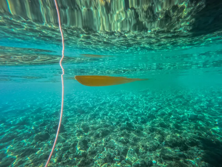 Da, ovo je u Hrvatskoj! Pogledajte nadrealne prizore podmorja južne strane bisera Jadrana