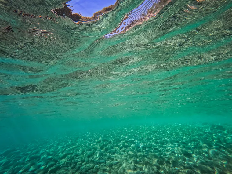 Da, ovo je u Hrvatskoj! Pogledajte nadrealne prizore podmorja južne strane bisera Jadrana
