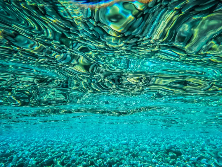 Da, ovo je u Hrvatskoj! Pogledajte nadrealne prizore podmorja južne strane bisera Jadrana