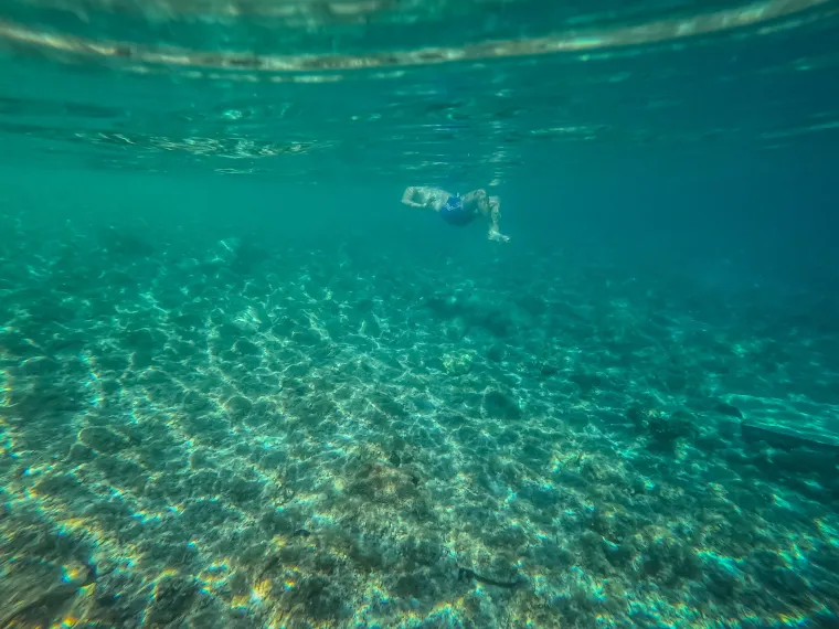 Da, ovo je u Hrvatskoj! Pogledajte nadrealne prizore podmorja južne strane bisera Jadrana
