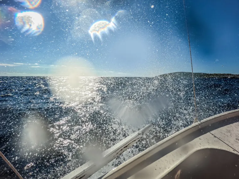 Da, ovo je u Hrvatskoj! Pogledajte nadrealne prizore podmorja južne strane bisera Jadrana