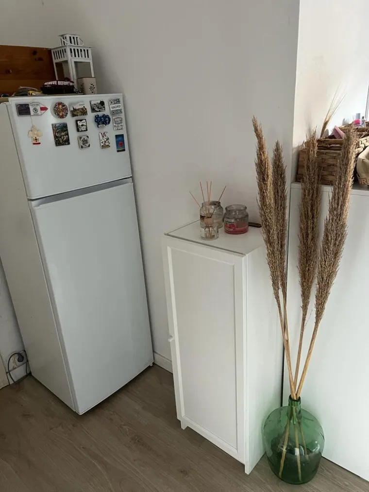 Karolina je od drvene kućice stvorila bajkovitu oazu mira uz more: Nevjerojatno koliko je stajalo