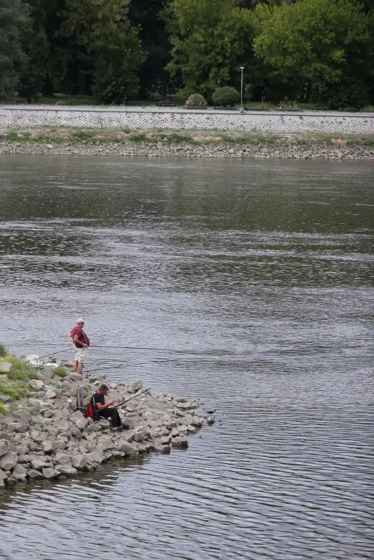 Plavu&scaron;a u crvenom sama napravila đir po gradu: Pogledajte tko je jo&scaron; uživao u &scaron;etnji