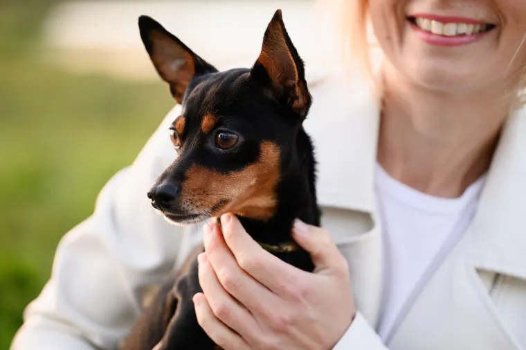 Ovo su najslađa i najčudnija prijateljstva koja ćete ikada vidjeti: Njihova ljubav će vas raznježiti