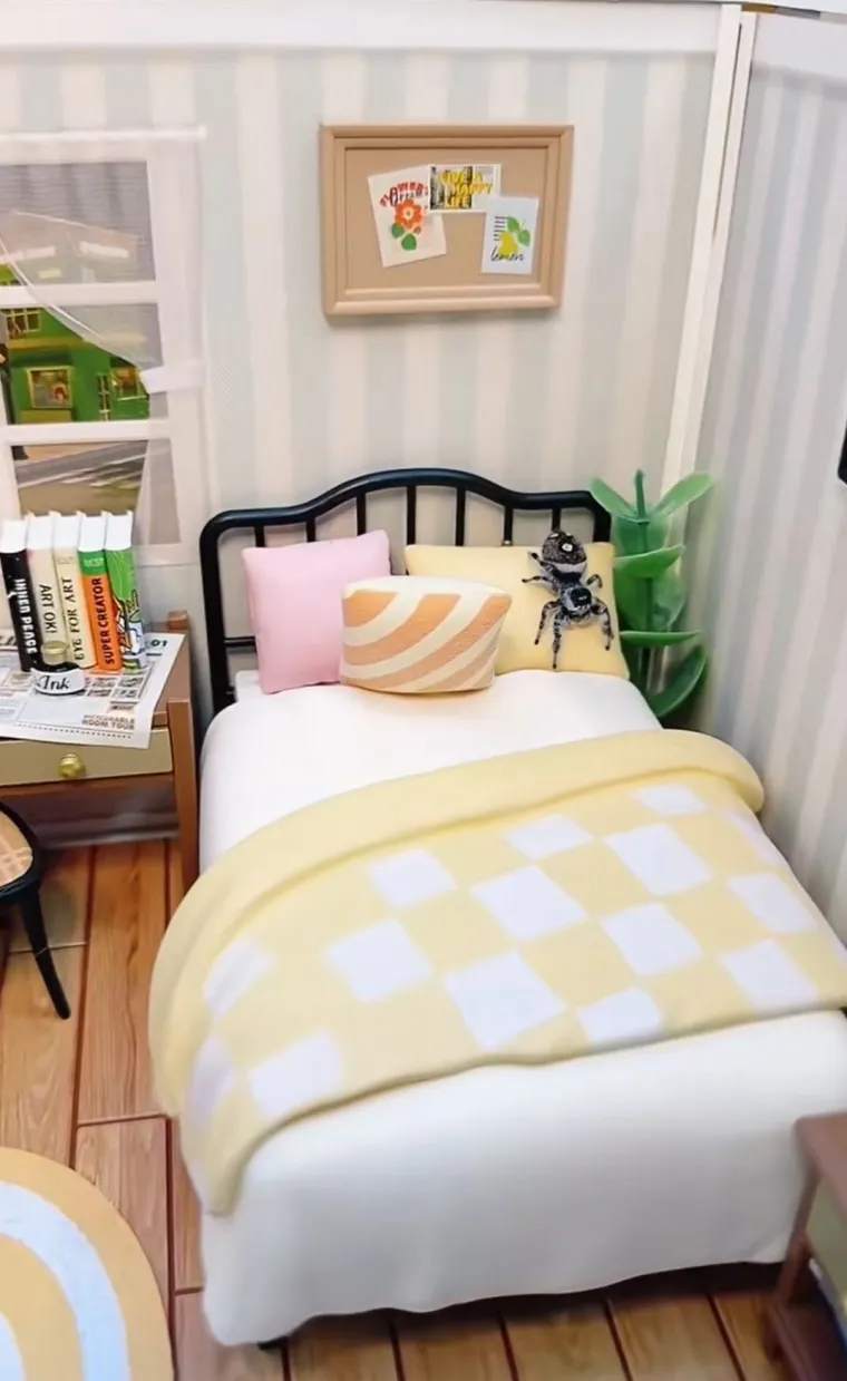 Užasavala se paukova, a onda im je izgradila dom iz snova: Nevjerojatno je u kakvom luksuzu žive