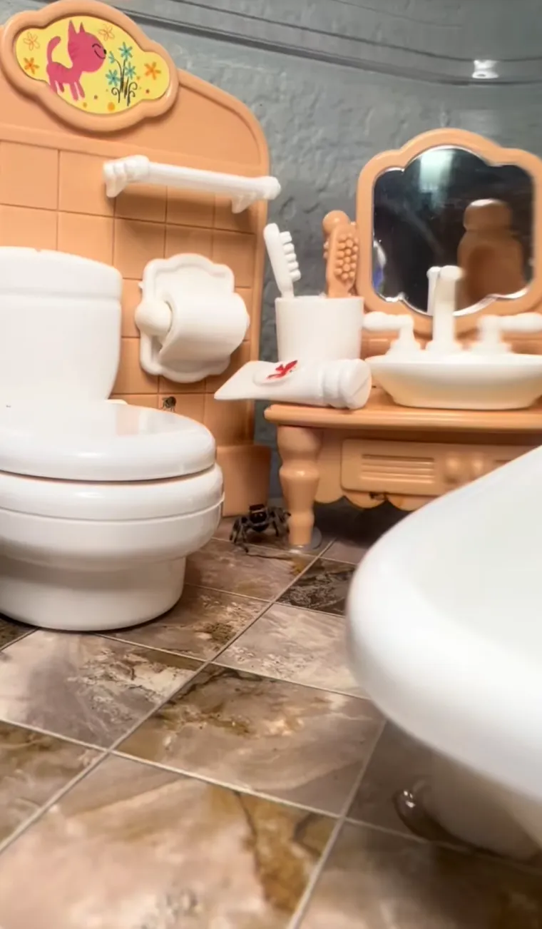 Užasavala se paukova, a onda im je izgradila dom iz snova: Nevjerojatno je u kakvom luksuzu žive