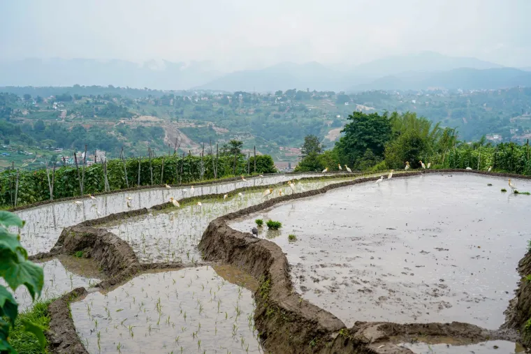 Znate li koje su najviše, a koje najniže države na svijetu? U jednoj možete baciti pogled preko cijele zemlje