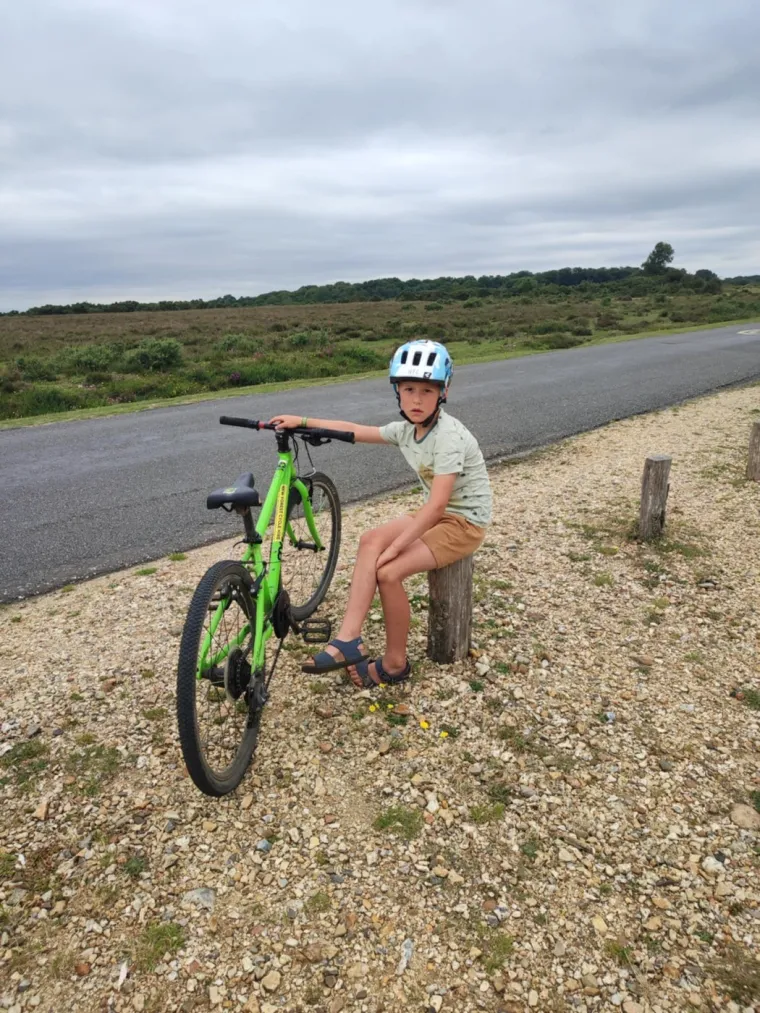 Belgijski turisti na zadnji dan odmora postali junaci: Spasili su divljeg konja od bolne smrti