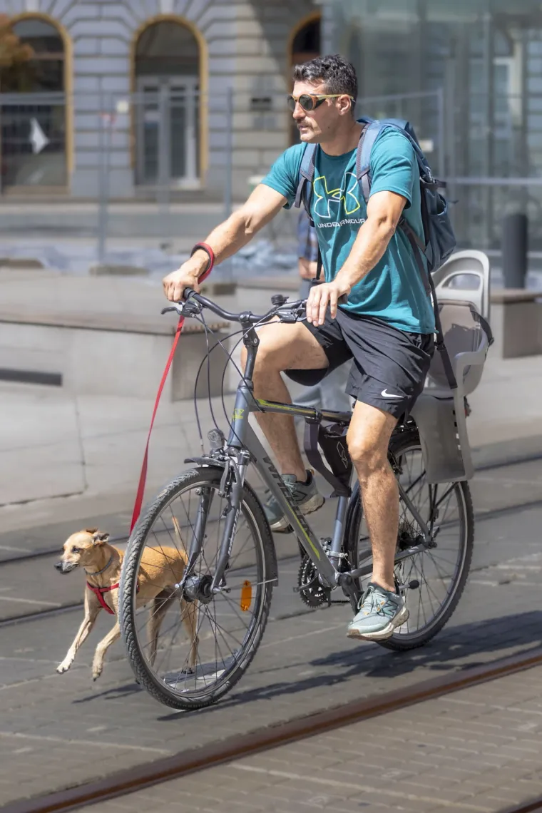 Red tetovaža i smjelih modnih kombinacija: Ova tri frajera Osječanke nisu ostavili ravnodu&scaron;nima