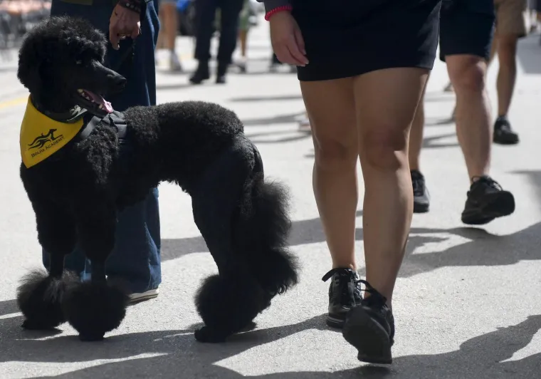 Rijeke fanova slile se u Sinj: Vijore se zastave i slavi se punom snagom, a osiguranje na svakom koraku