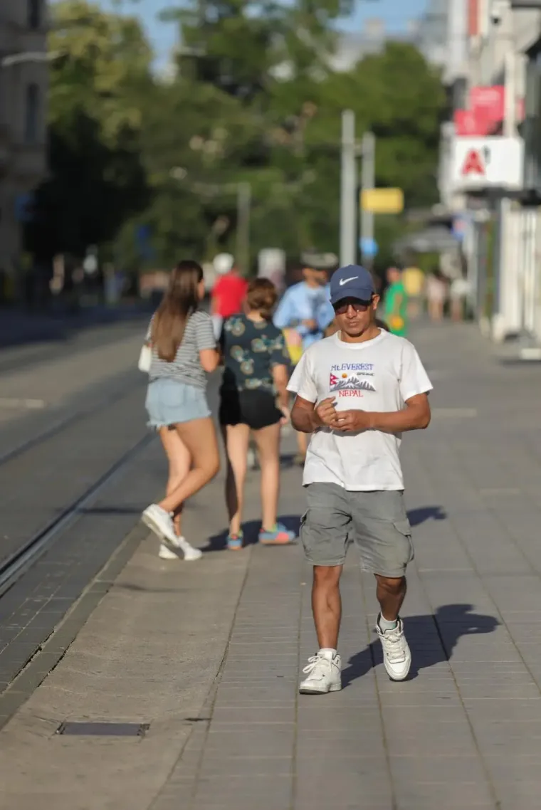 Samozatajnoj dami u tigrastom topu nešto je okupiralo pažnju