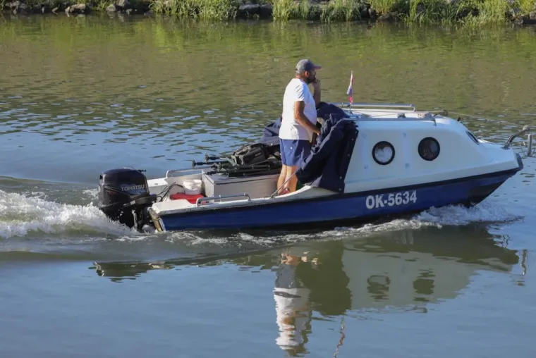 Samozatajnoj dami u tigrastom topu nešto je okupiralo pažnju